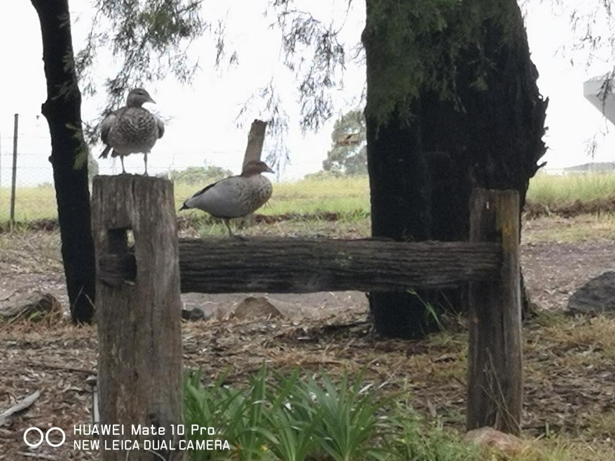 Kalimna Woods Cottages Lakes Entrance Exteriör bild