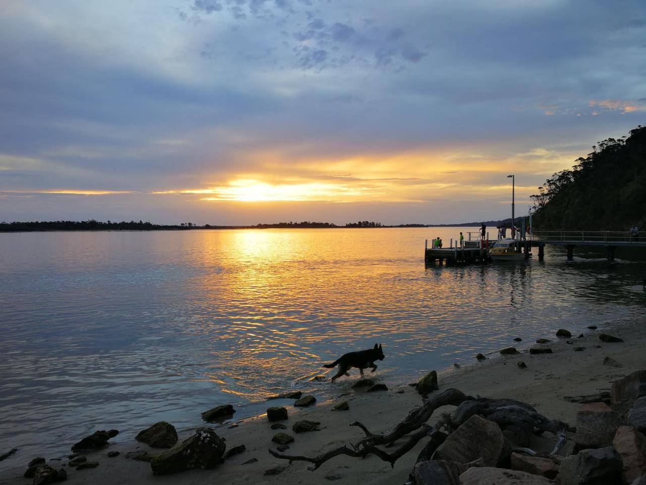 Kalimna Woods Cottages Lakes Entrance Exteriör bild