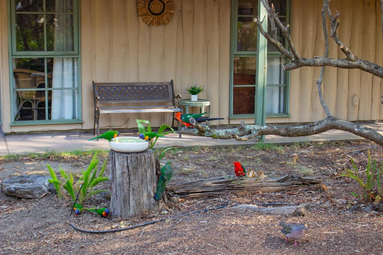 Kalimna Woods Cottages Lakes Entrance Exteriör bild