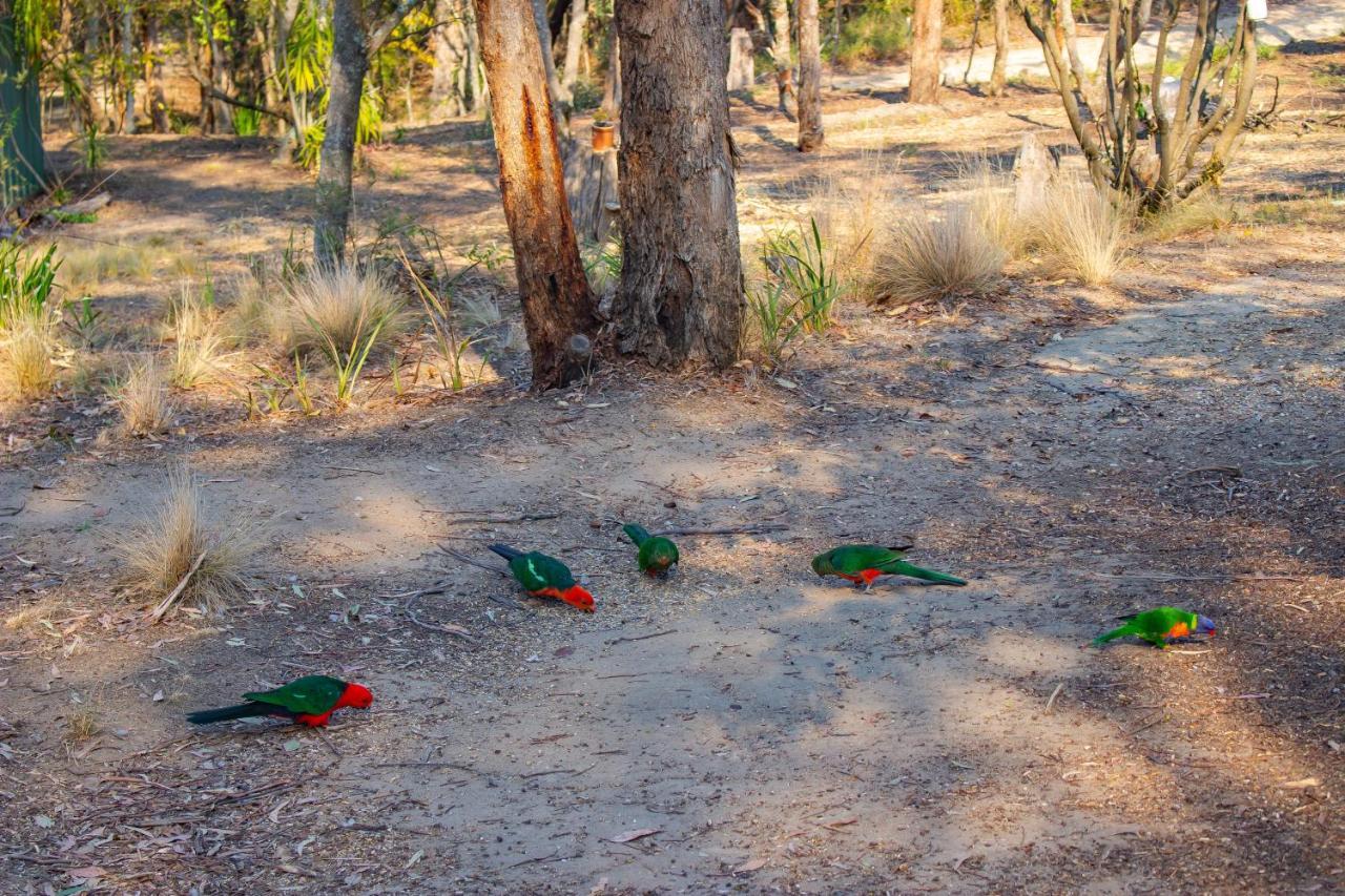 Kalimna Woods Cottages Lakes Entrance Exteriör bild