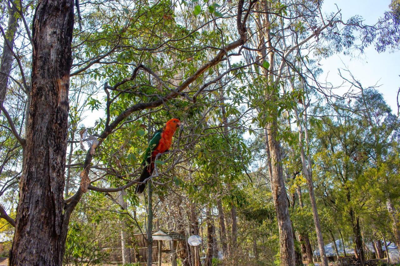 Kalimna Woods Cottages Lakes Entrance Exteriör bild