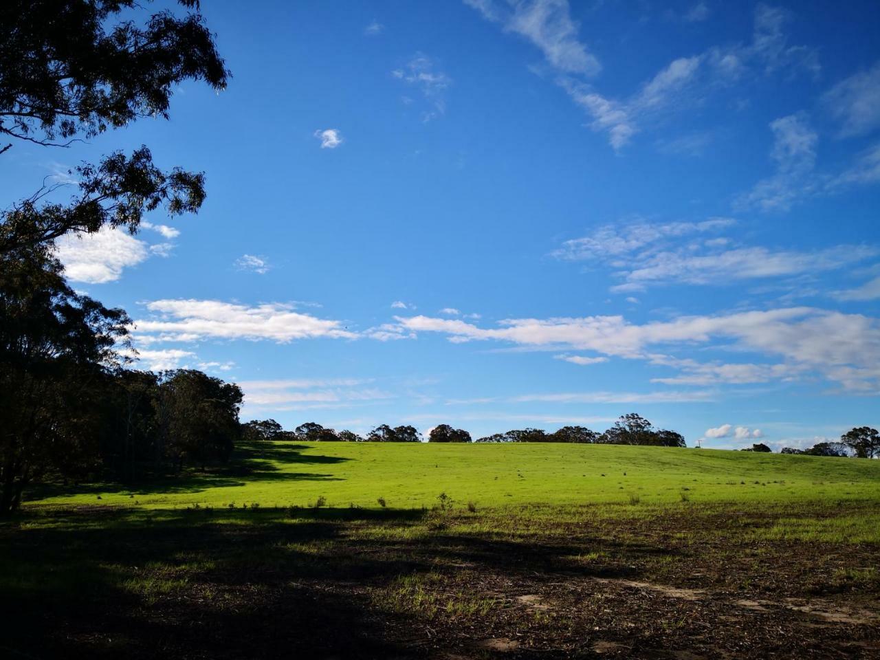 Kalimna Woods Cottages Lakes Entrance Exteriör bild