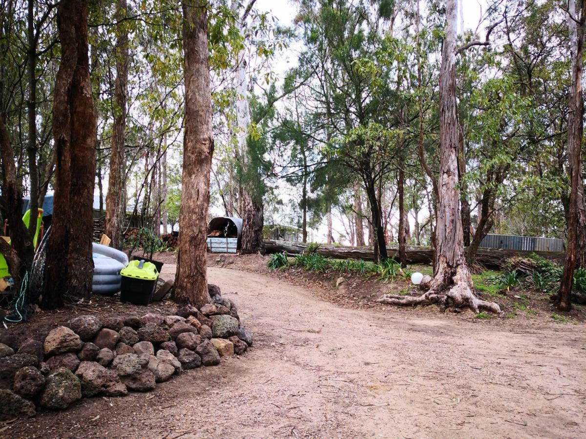 Kalimna Woods Cottages Lakes Entrance Exteriör bild