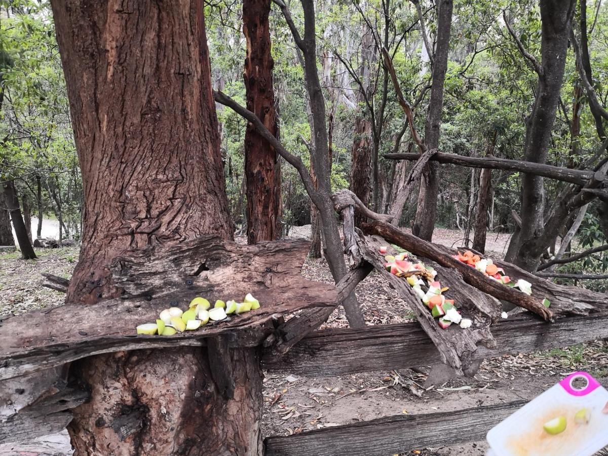 Kalimna Woods Cottages Lakes Entrance Exteriör bild
